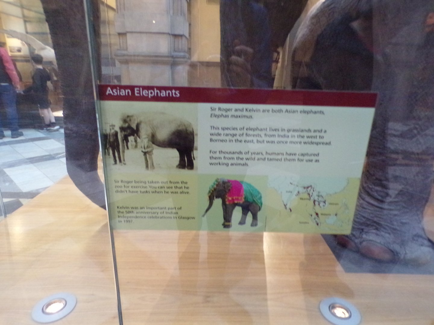 Signage about Sir Roger and Kelvin (taken at Kelvingrove museum) 12.2.24
