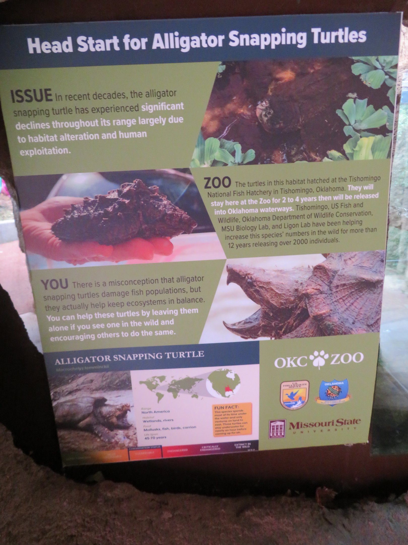 Signage about Snapping Turtle Hatching