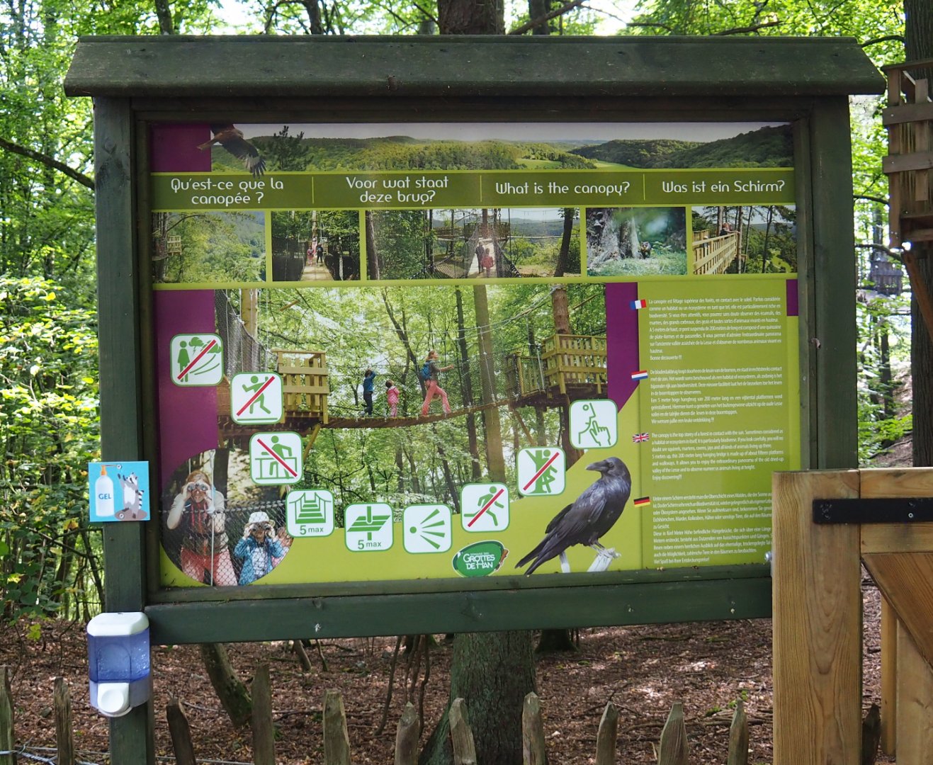 Signage about the canopy trail, 2021-08-15