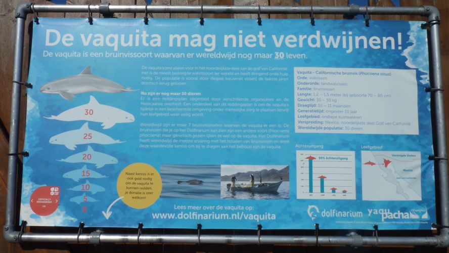 Signage about the current Vaquita extinction
