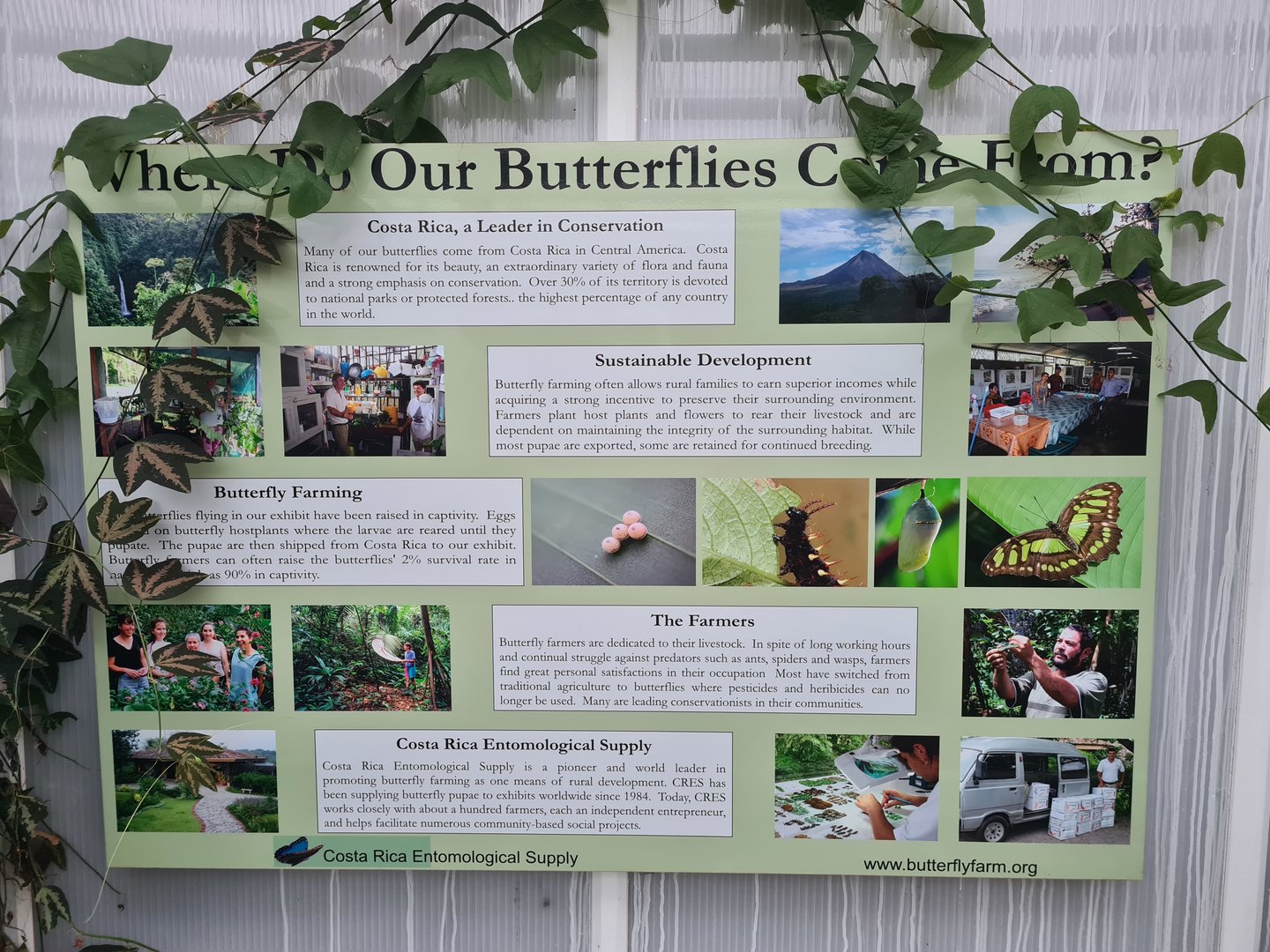 Signage about the origins of Orchideeënhoeve's butterflies