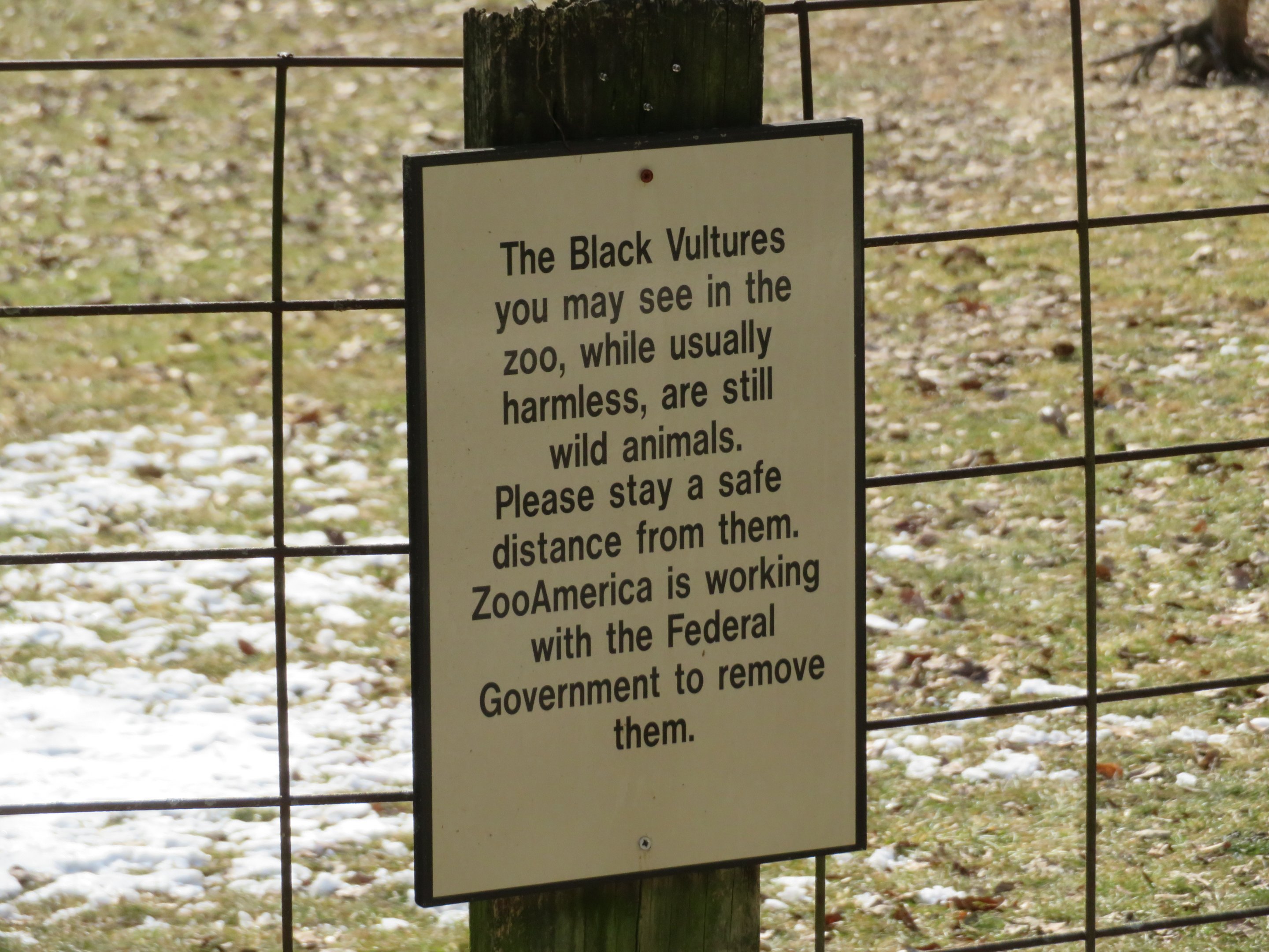 Signage about Wild Black Vultures
