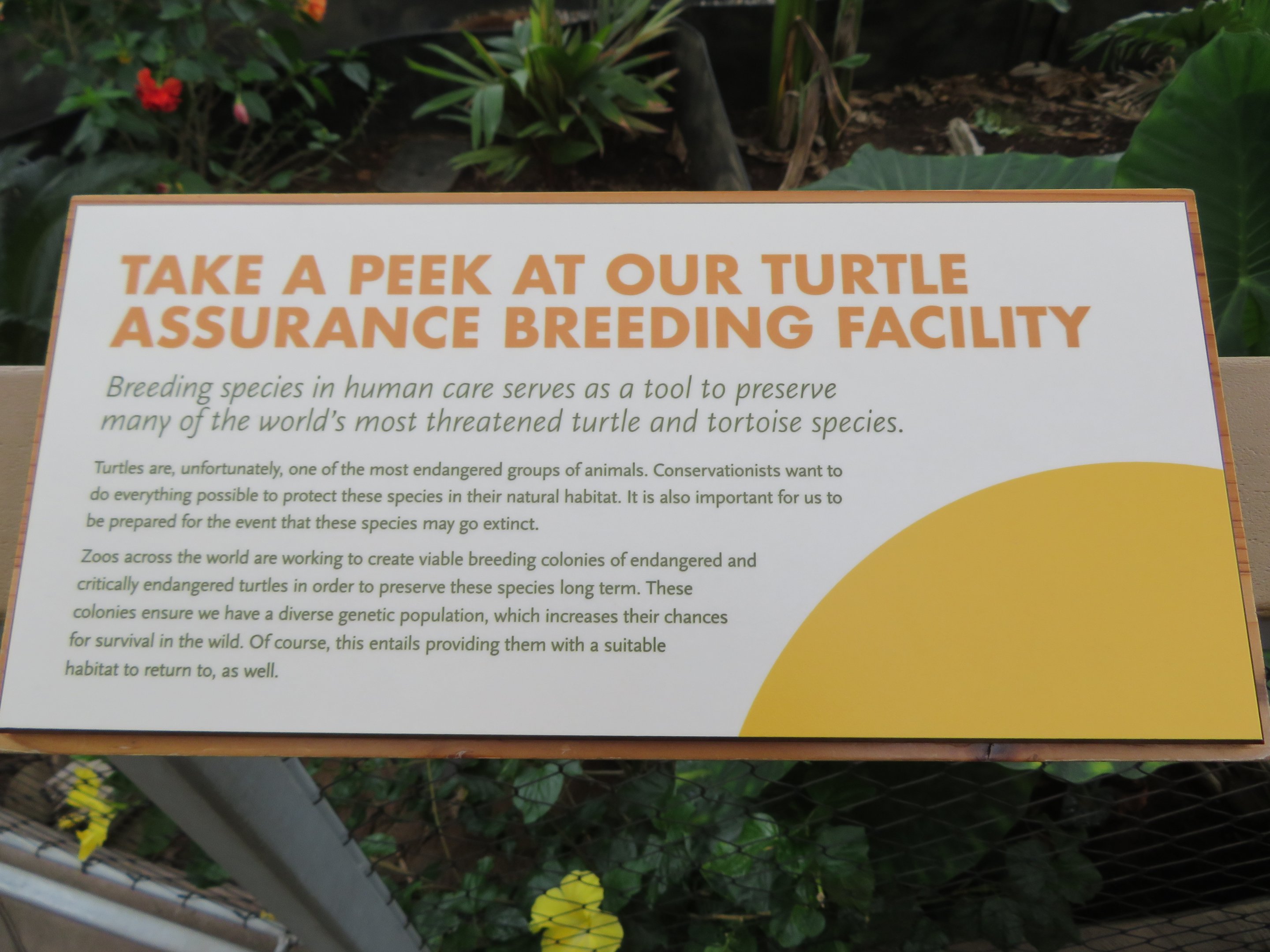 Signage about Zoo's Turtle/Tortoise Breeding