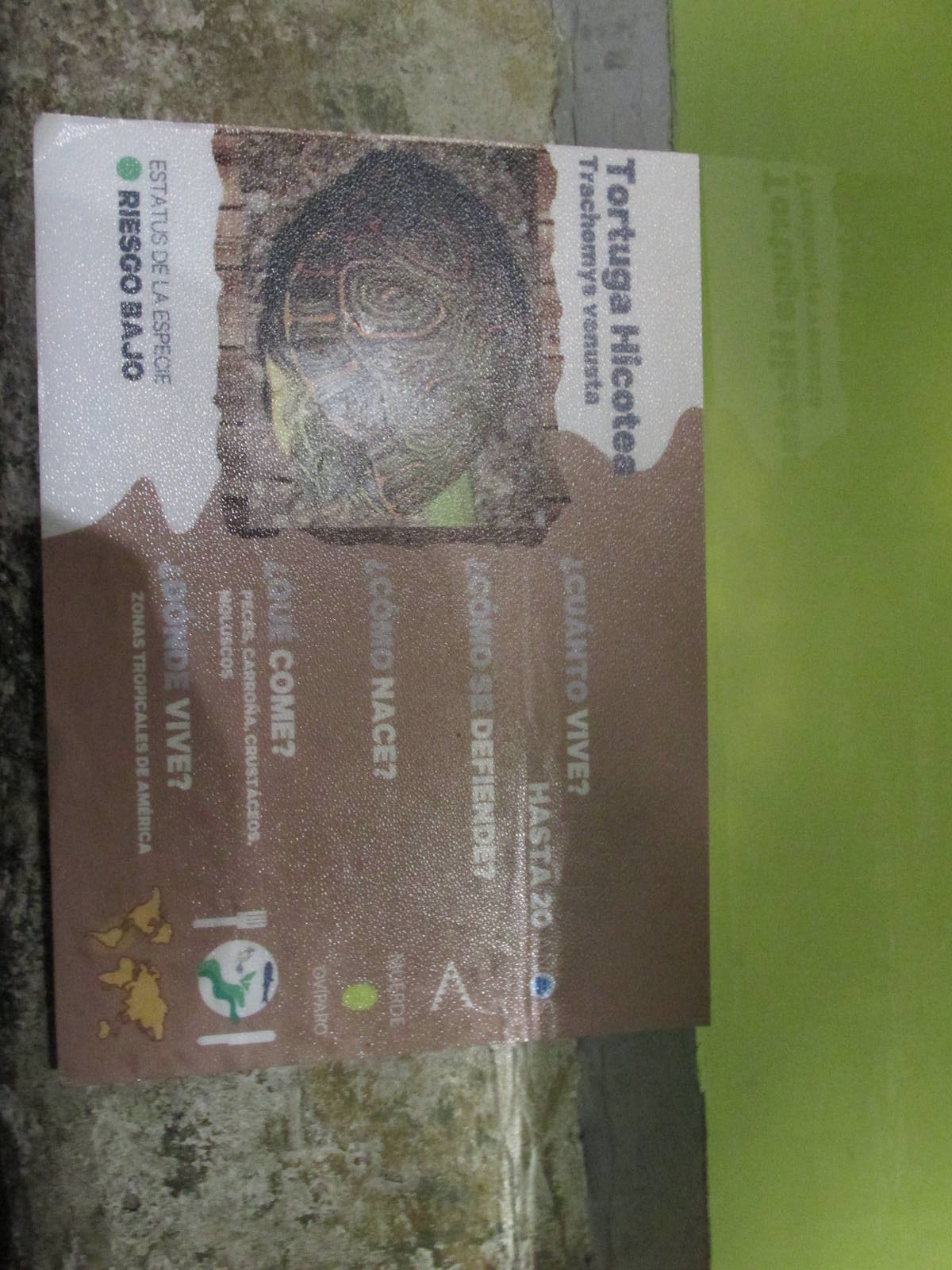 signage acuario inbursa