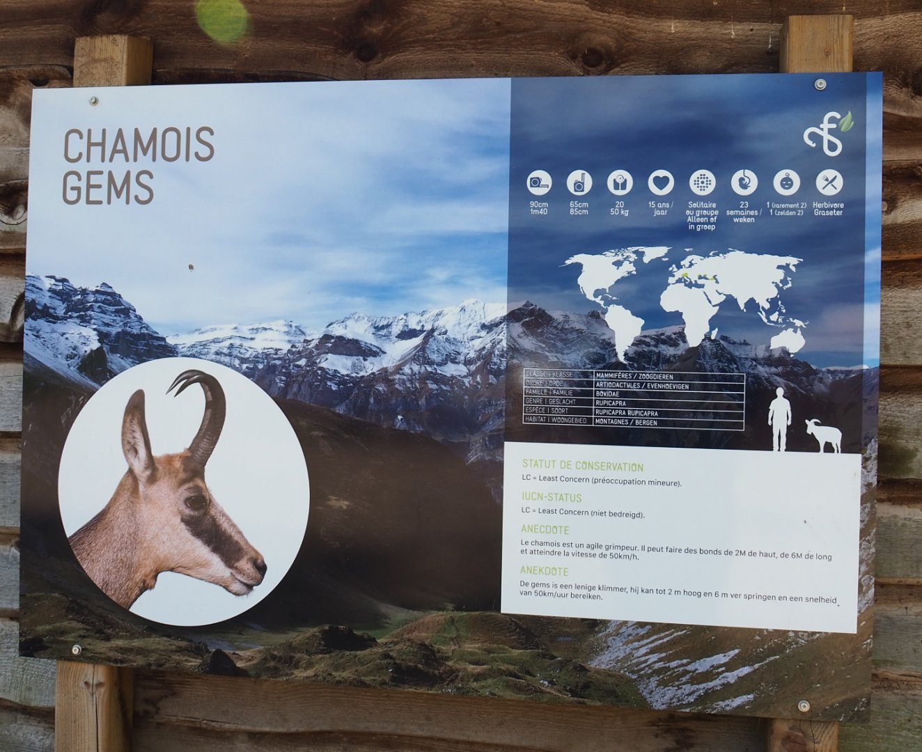 Signage Alpine chamois, 2021-05-29