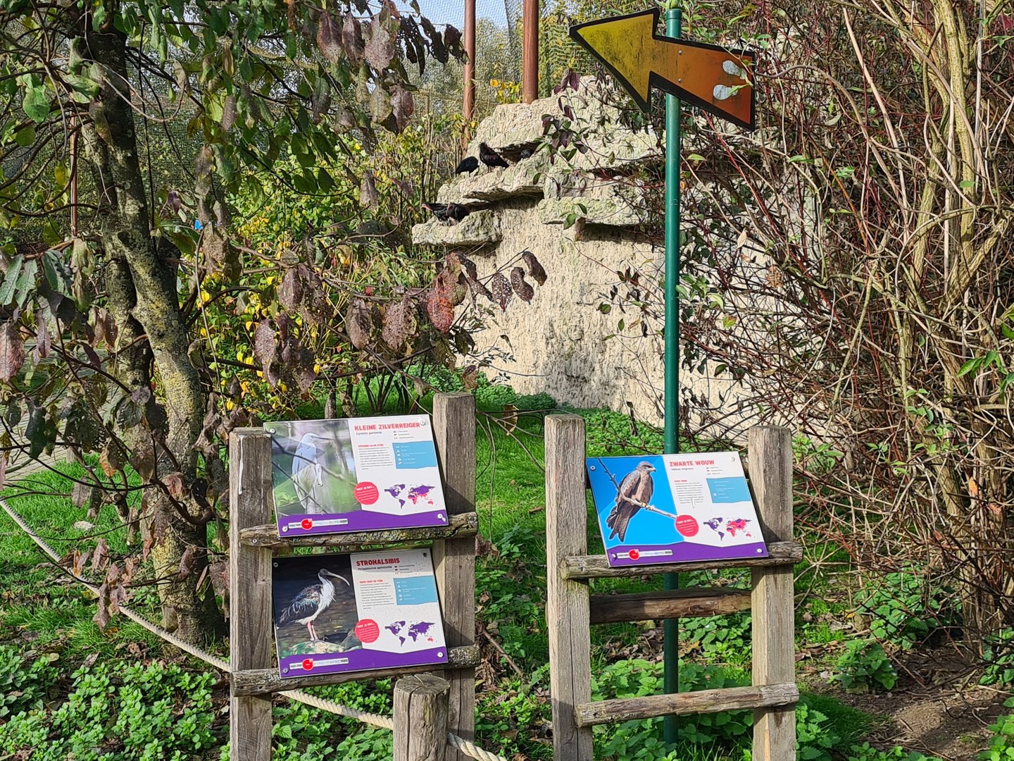 Signage and Bald ibis area in Vogelrijk (Realm of birds)