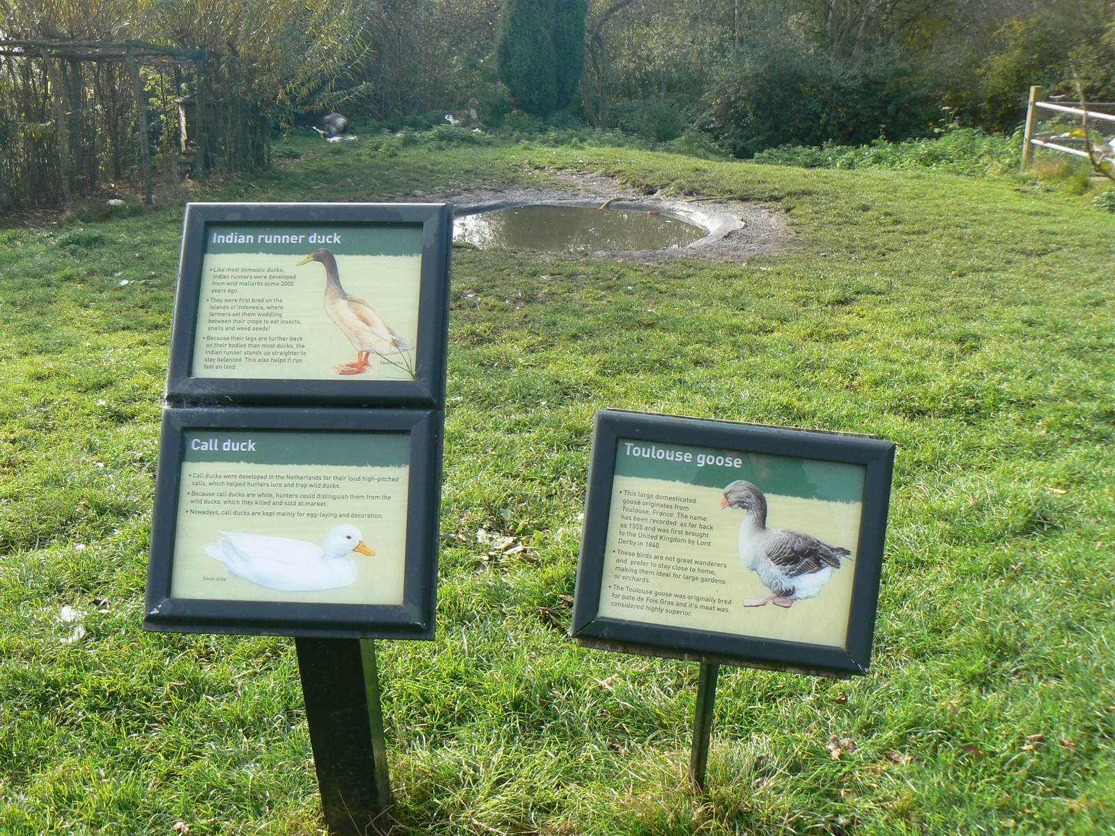 Signage and Enclosure- 26 October 2015