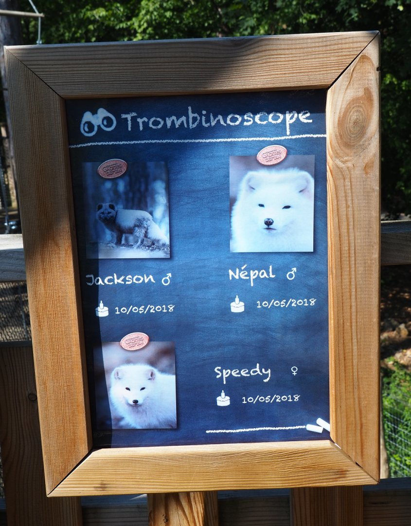 Signage Arctic foxes at Han wildlife park, 2020-07-15