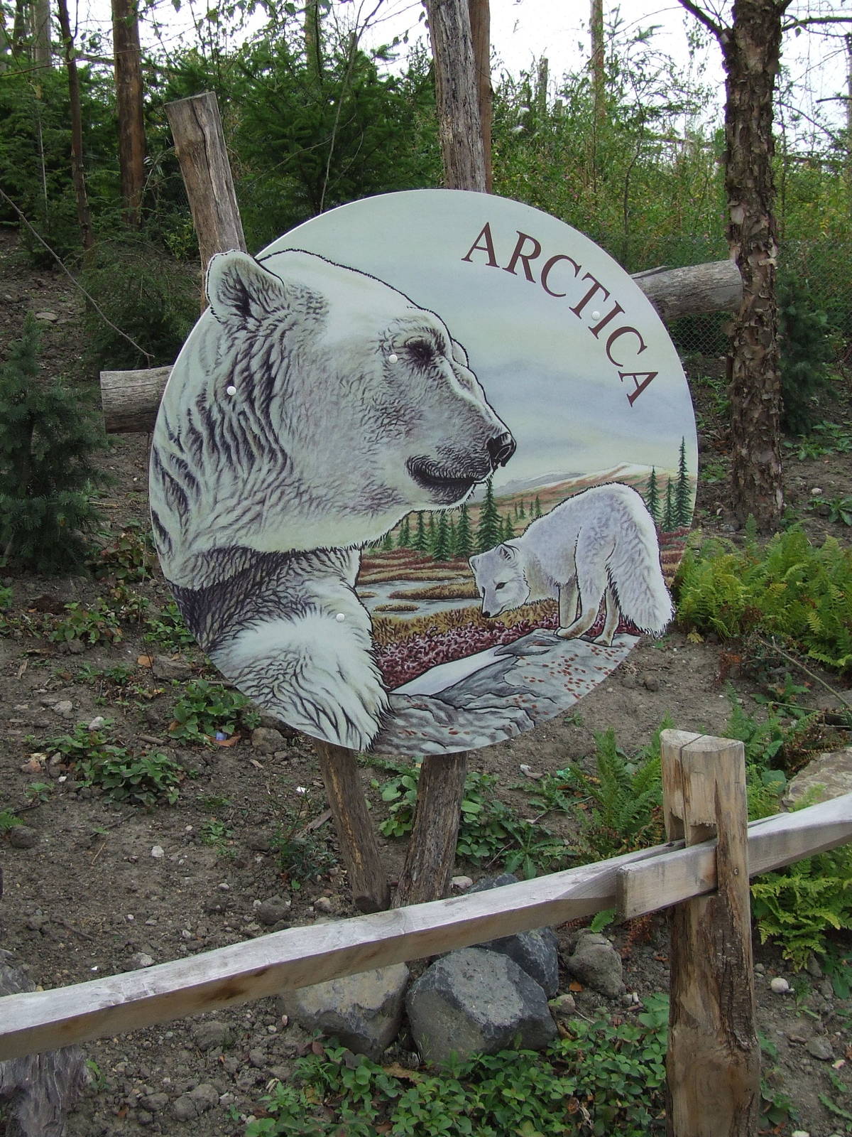 Signage, Arctica