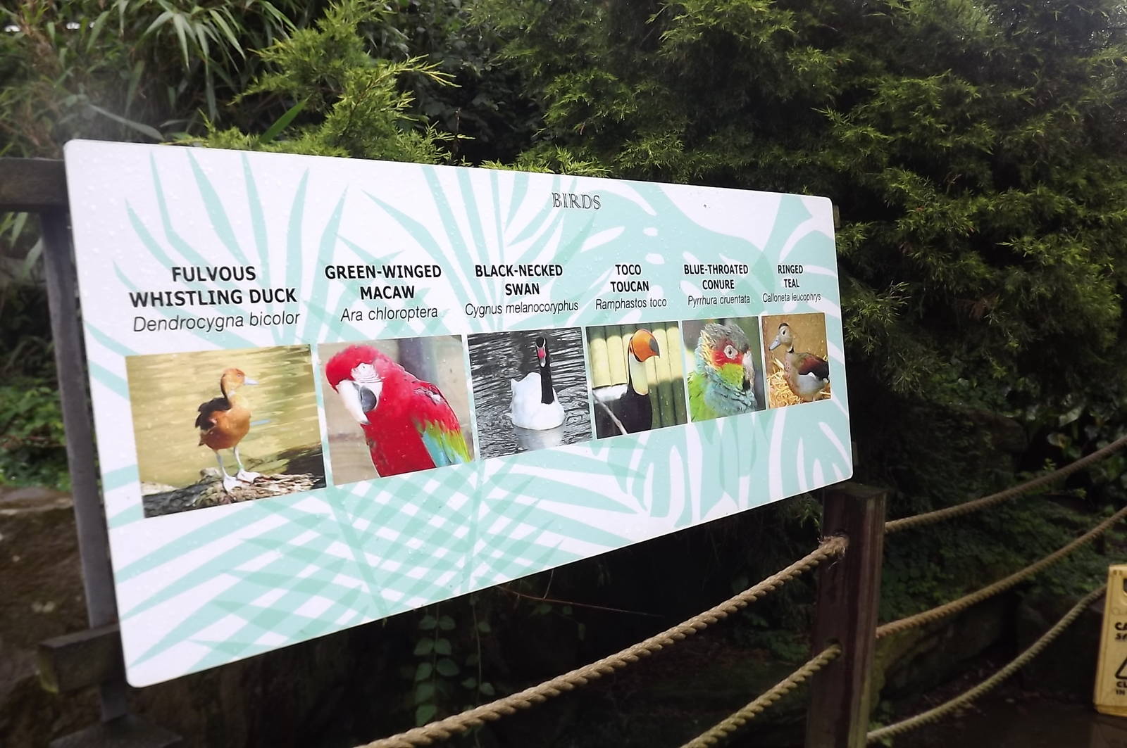 Signage at Blackpool Zoo 16/06/12