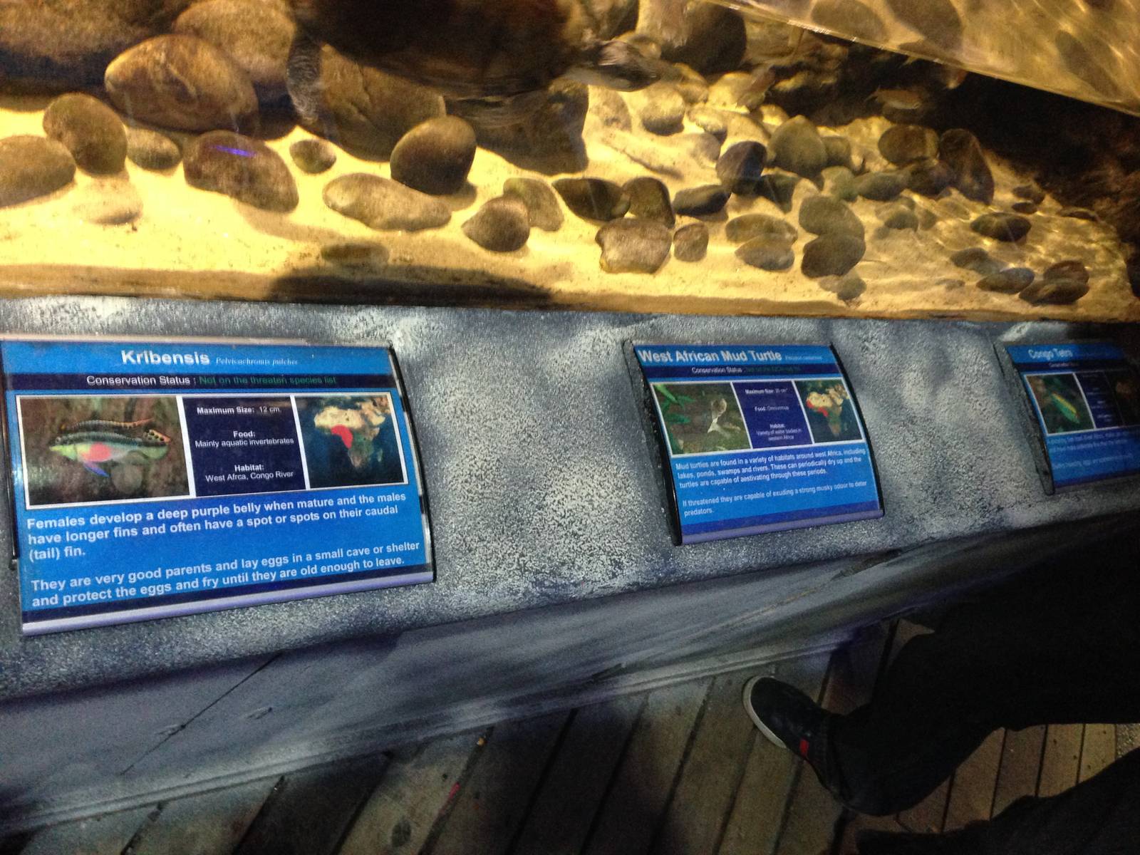 Signage at Blue Planet Aquarium - 05/10/2013