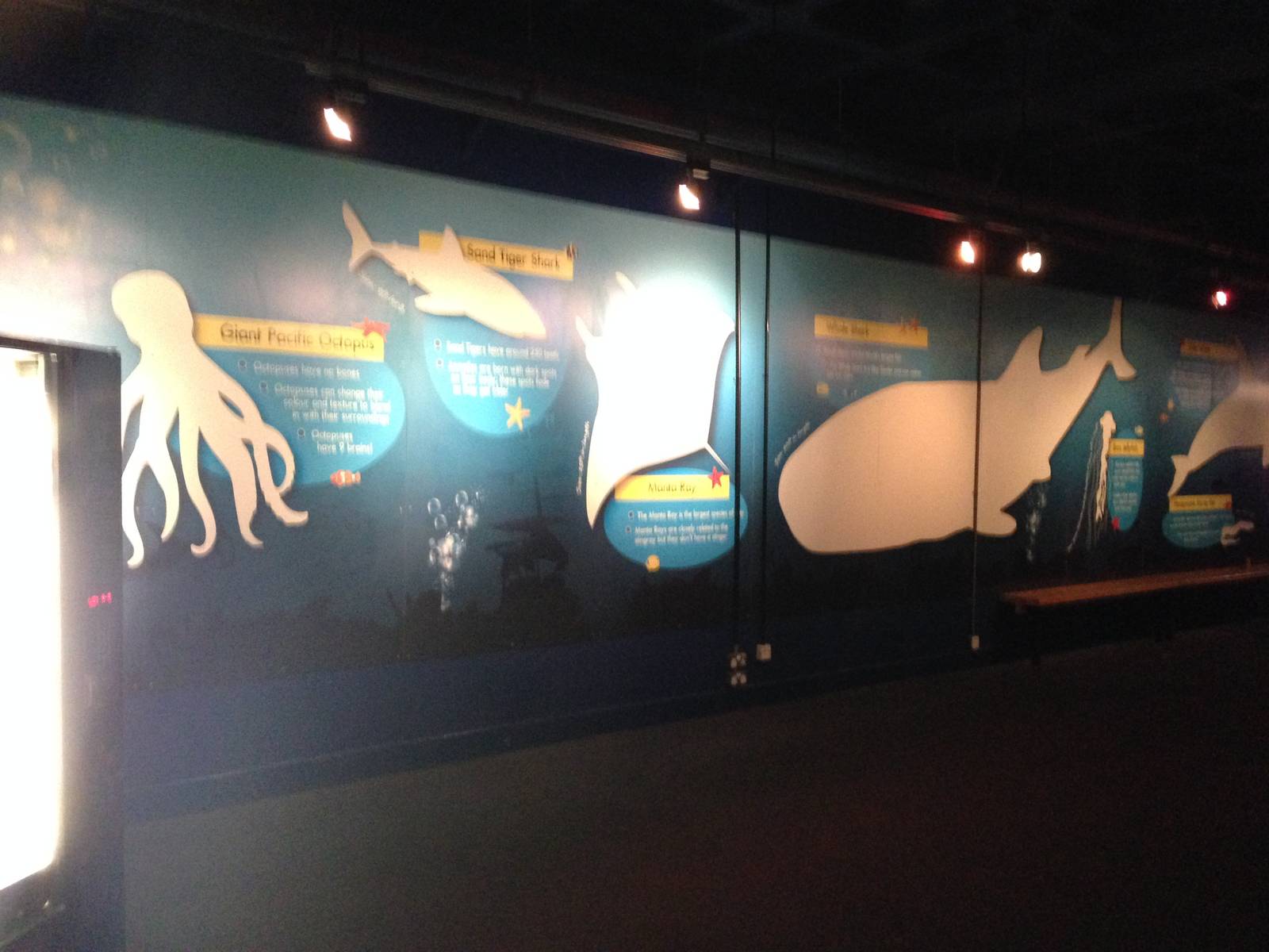 Signage at Blue Planet Aquarium - 05/10/2013