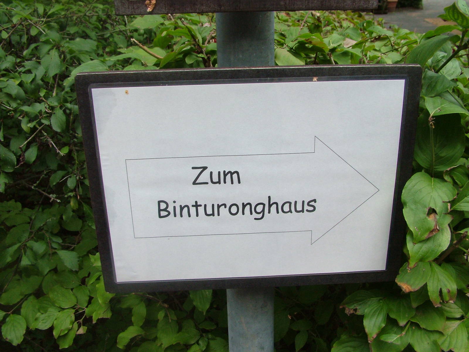 Signage at Darmstadt, 30/08/10