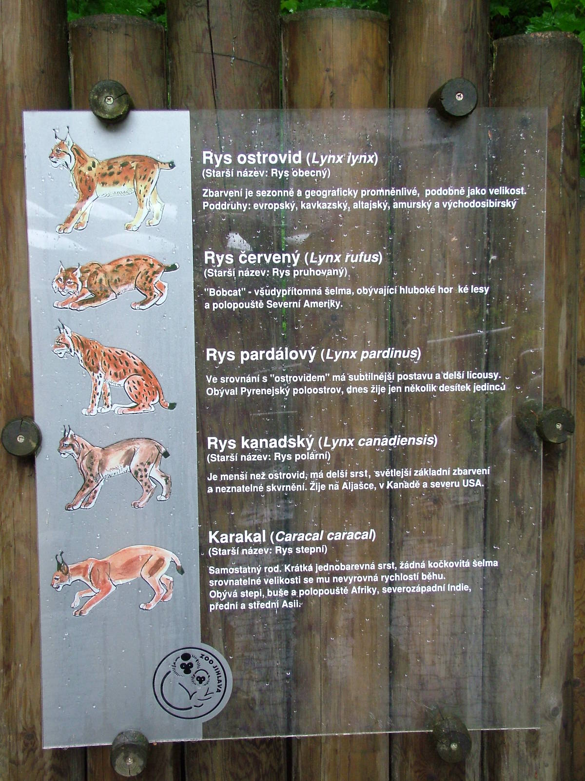 Signage at Jihlava, 31/05/10