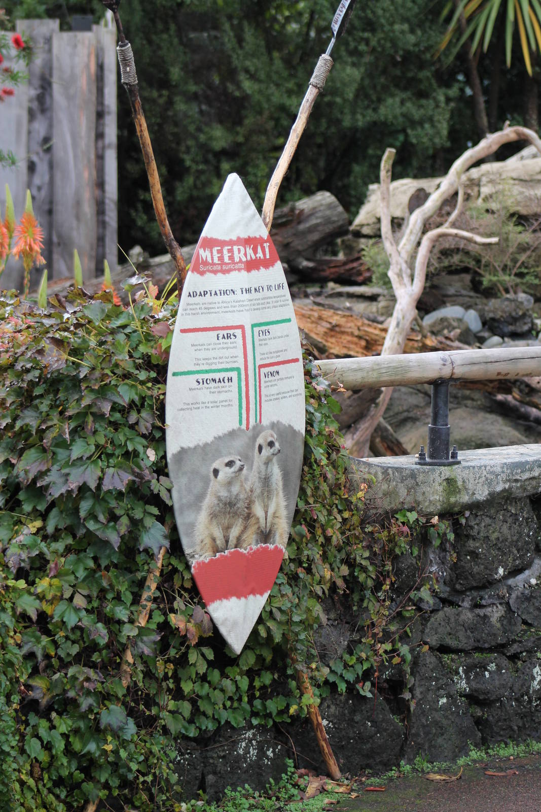 signage at meerkat enclosure
