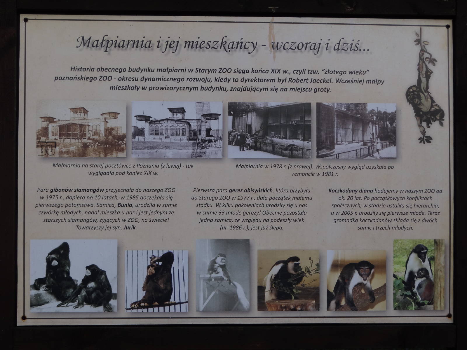 Signage at Monkey House