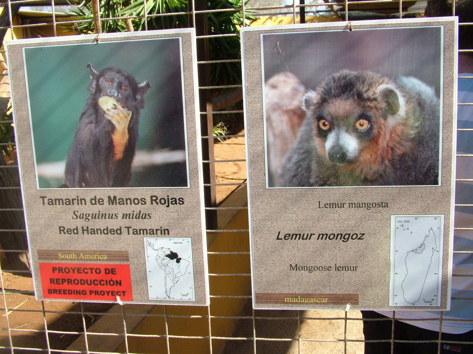 Signage at Monkey Park, 09/11/10