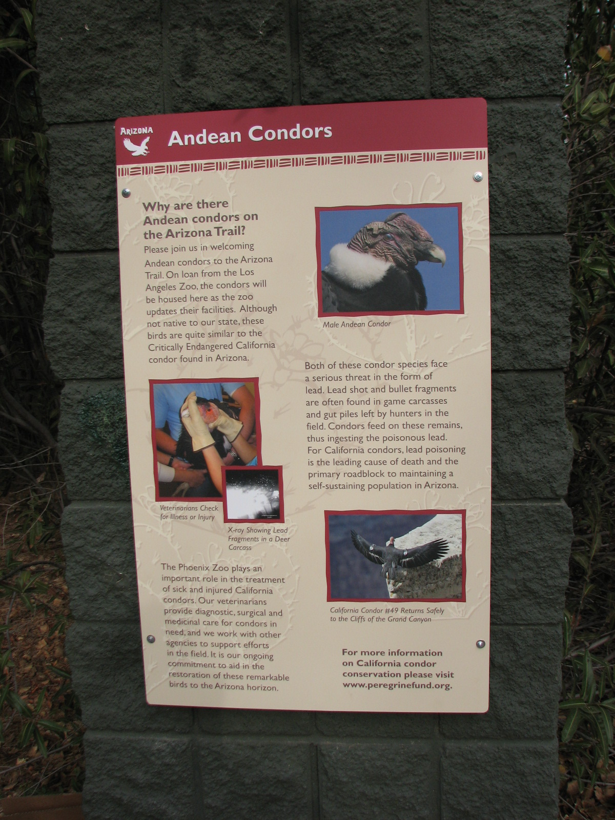 Signage at the Condor Exhibit