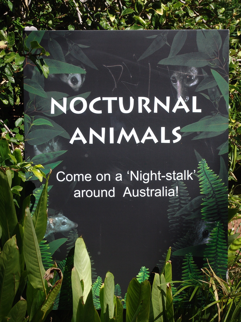 Signage at the entrance to the Nocturnal House