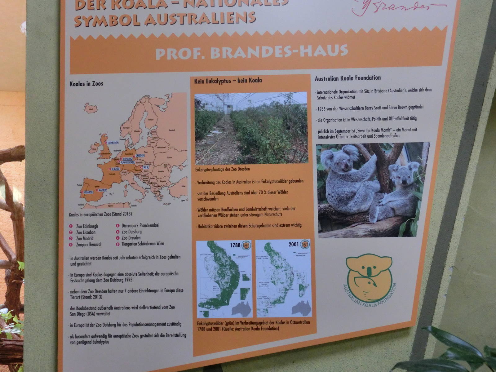 Signage at the koala enclosure - Zoo Dresden