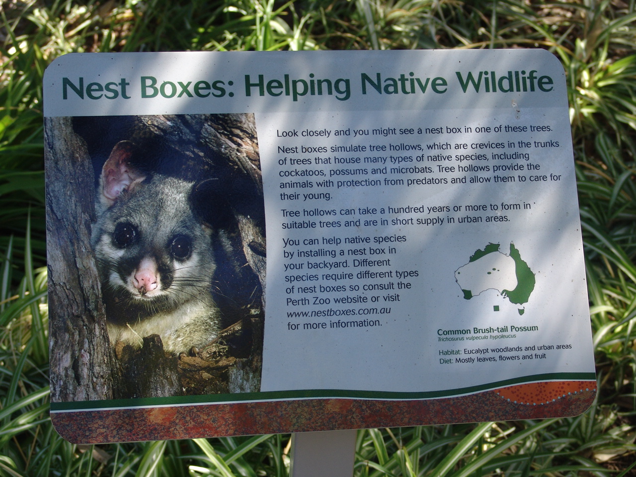 Signage at the zoo: helping wildlife (Brushtail Possum/Trichosurus vulpecul