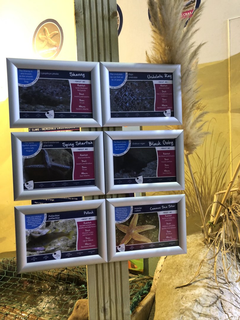 Signage at Tynemouth Aquarium (2019)