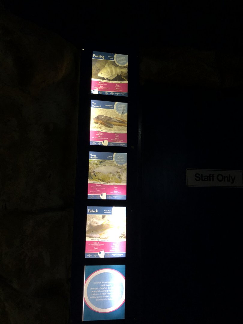 Signage at Tynemouth Aquarium (2019)