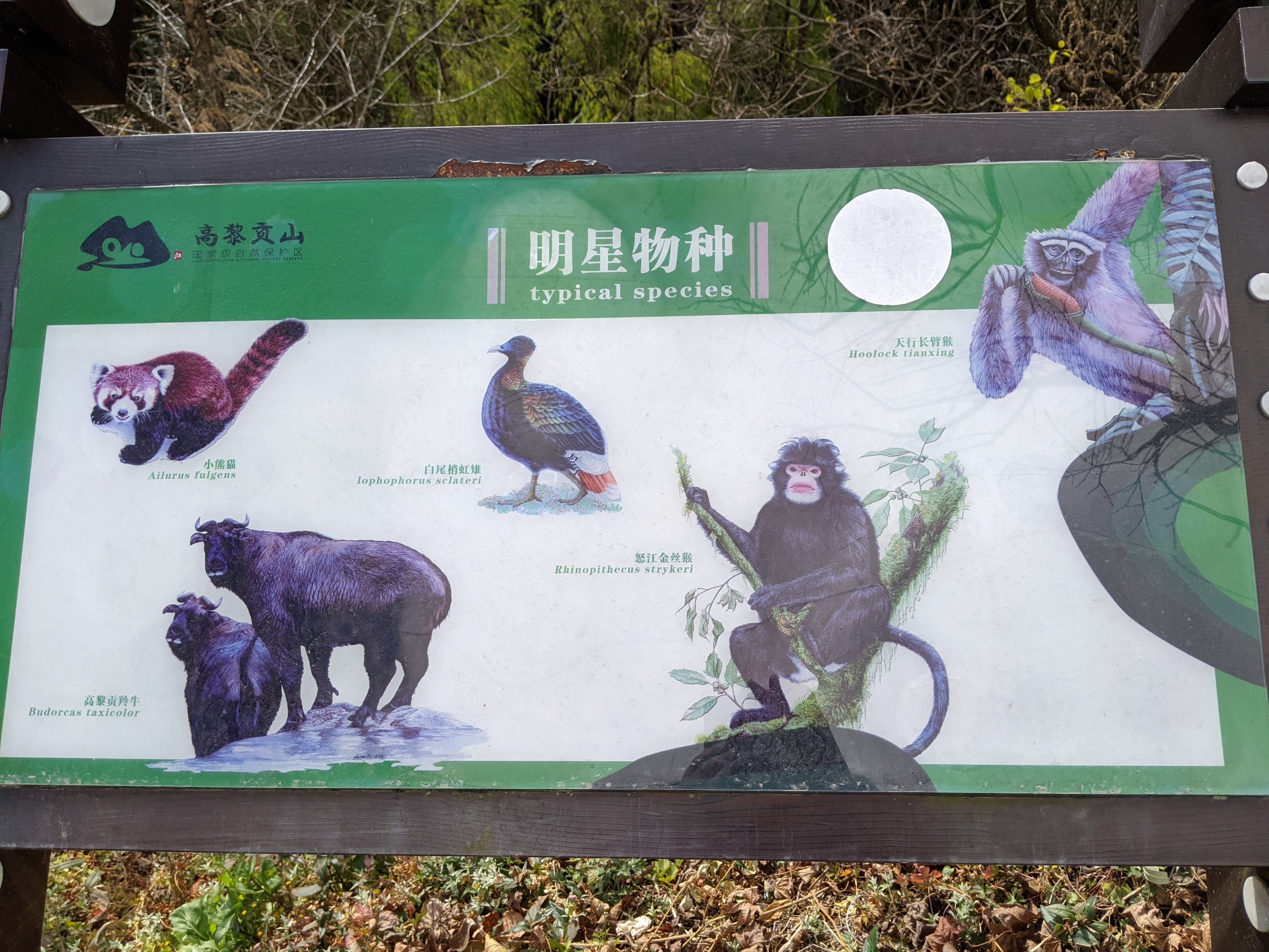 Signage at Yaojiaping Rescue Centre