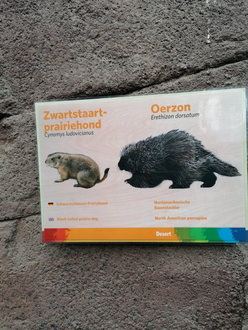 Signage black-tailed prairie-dog & North-American porcupine