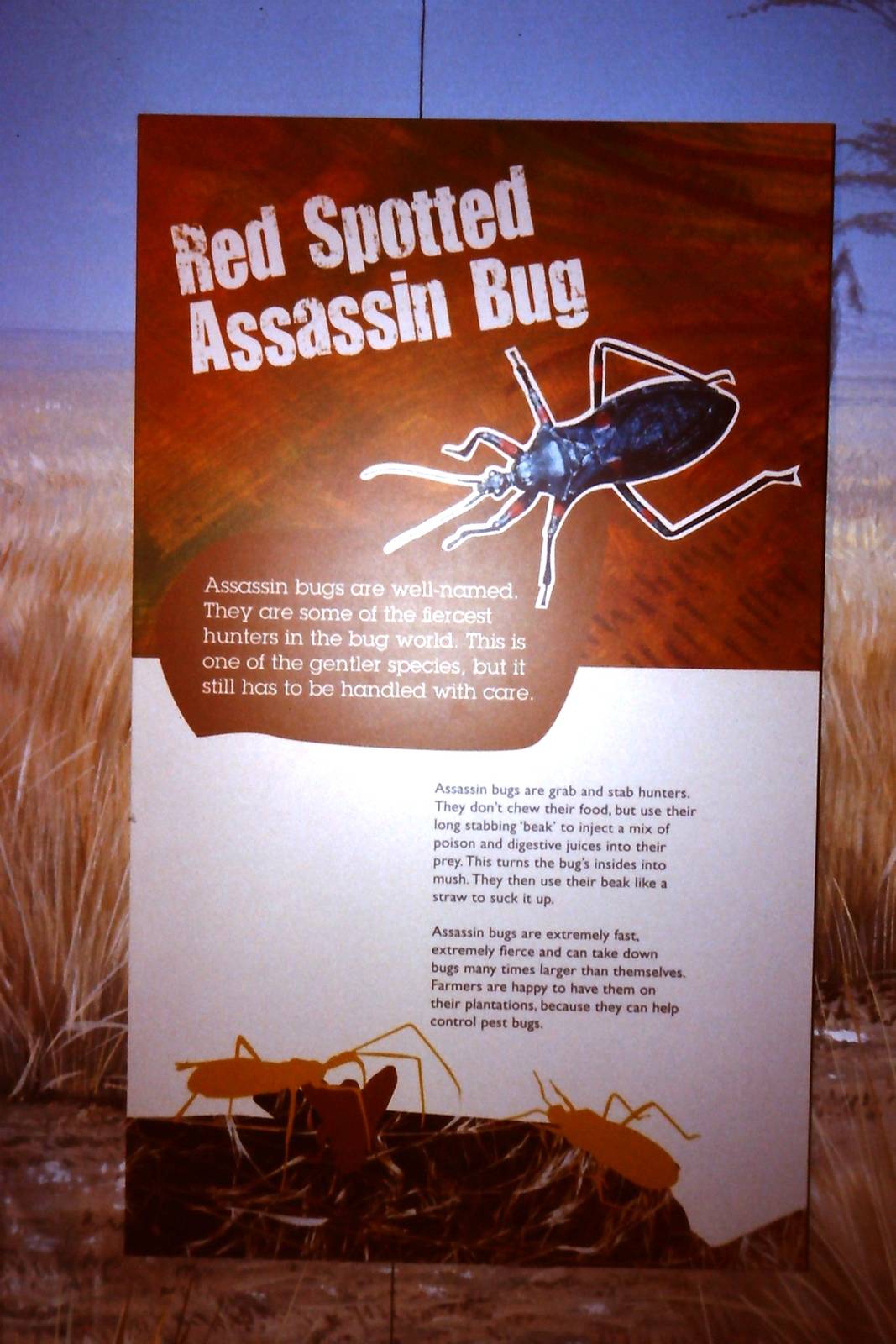 Signage, Bug World, Liverpool 2010