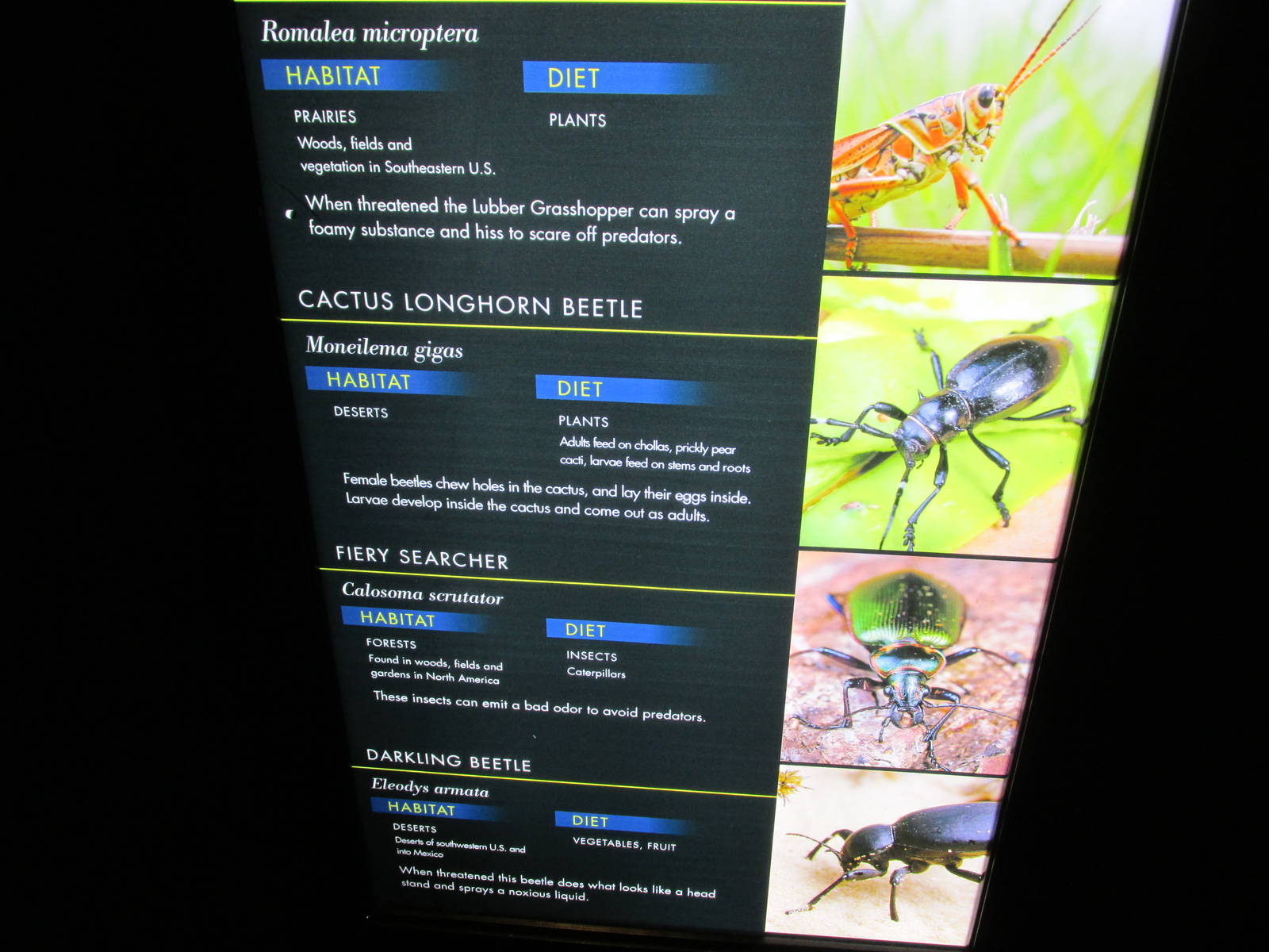 signage bughouse houston zoo