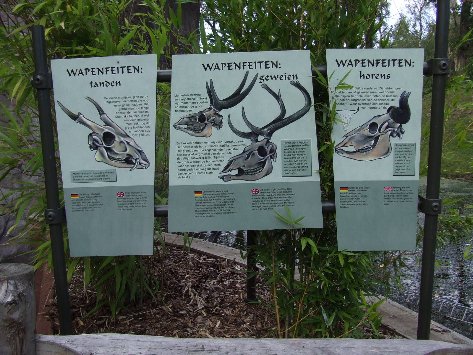 Signage, Burgers Rimba