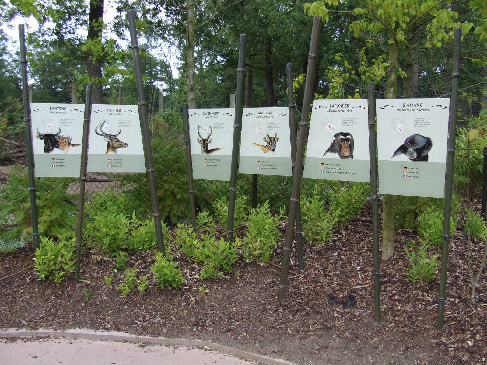 Signage, Burgers Rimba
