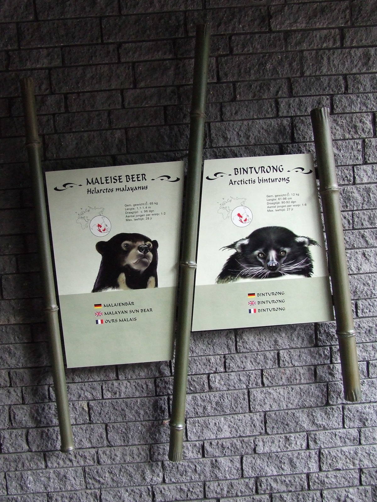 Signage, Burgers Rimba