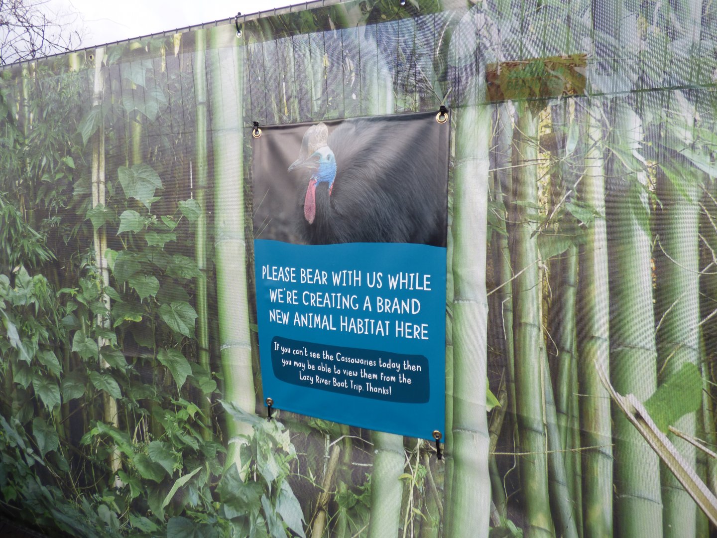 Signage by Cassowary