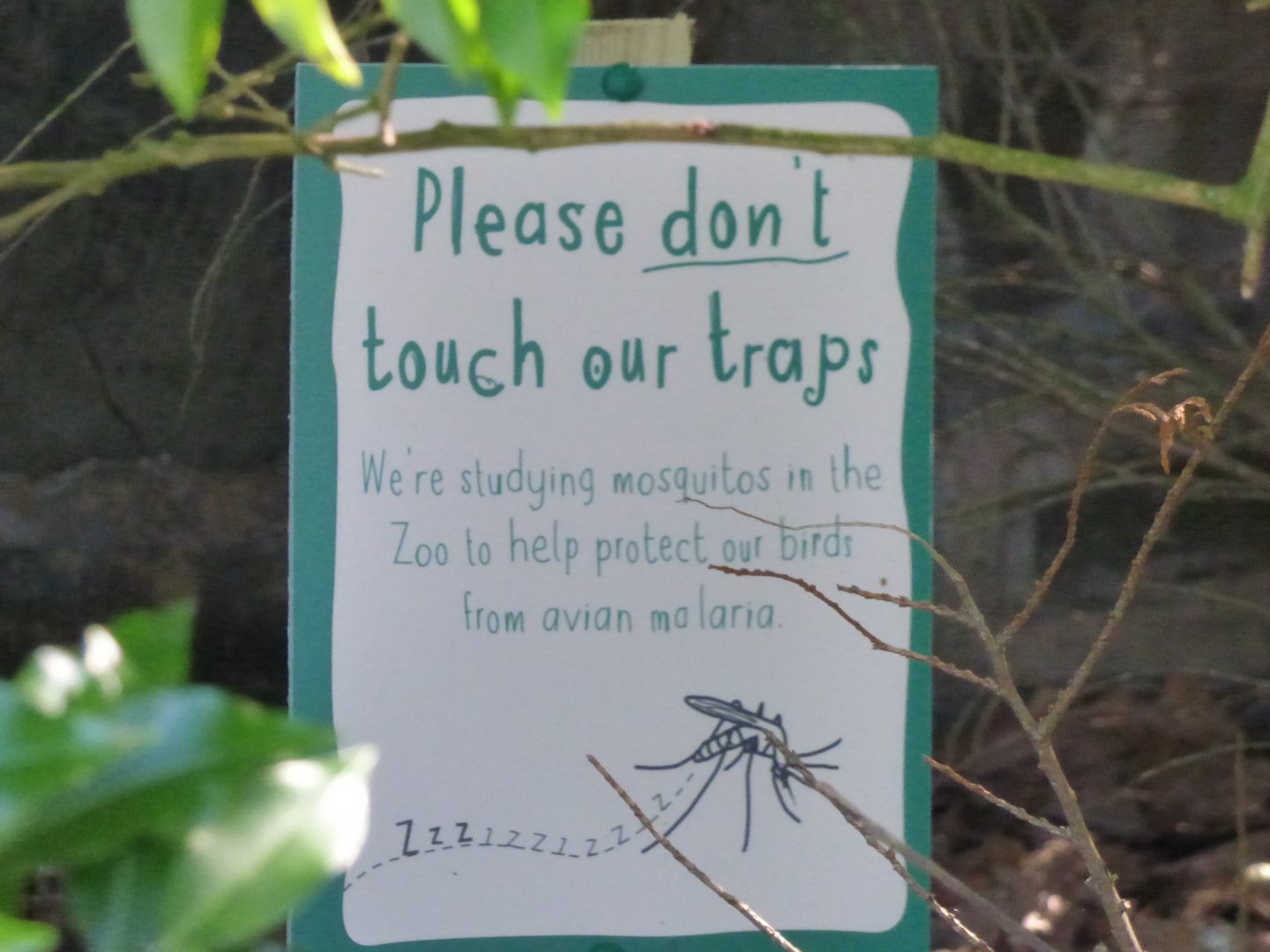 Signage by the old Condor Cliffs