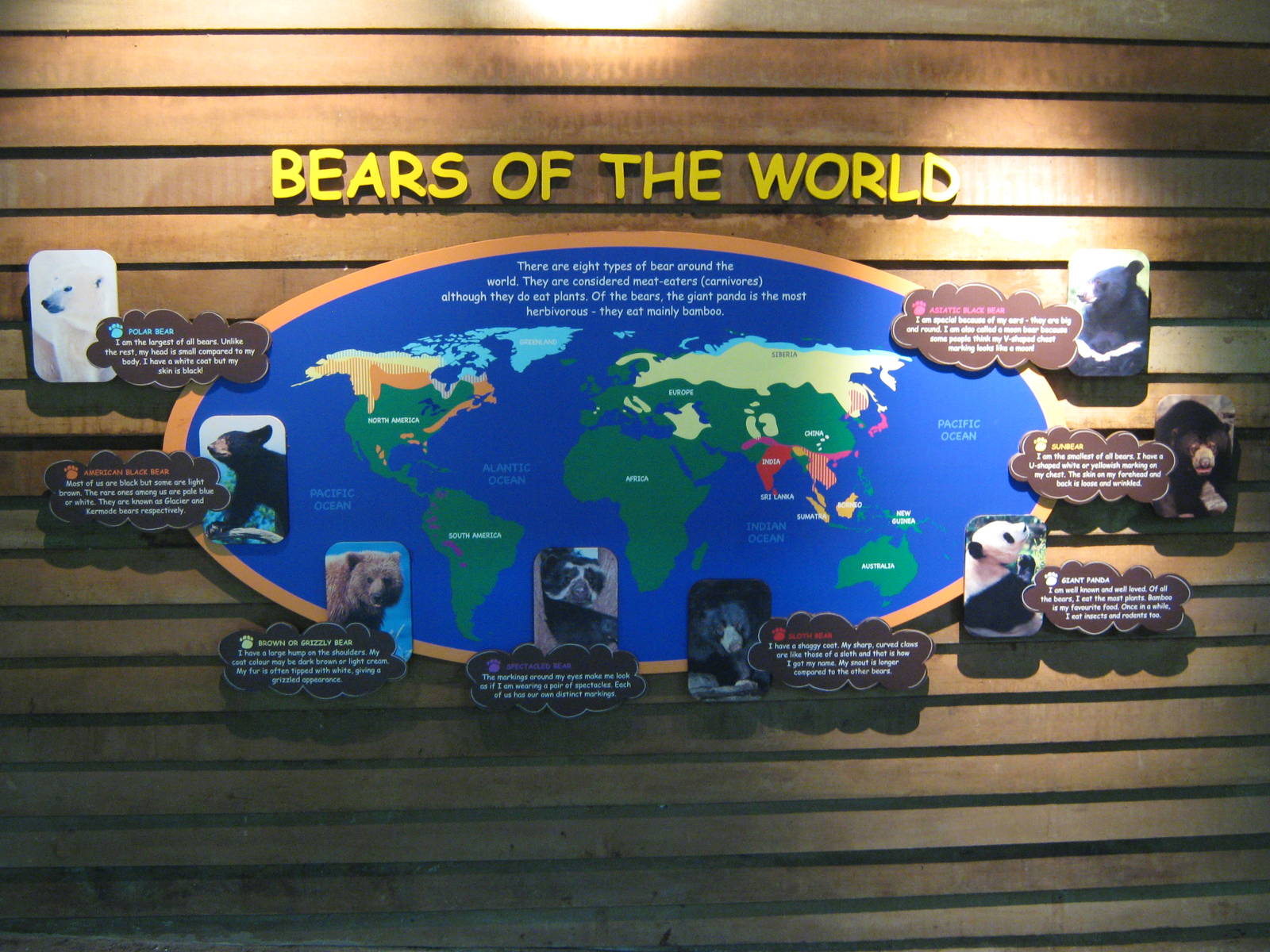 signage by the sun bears