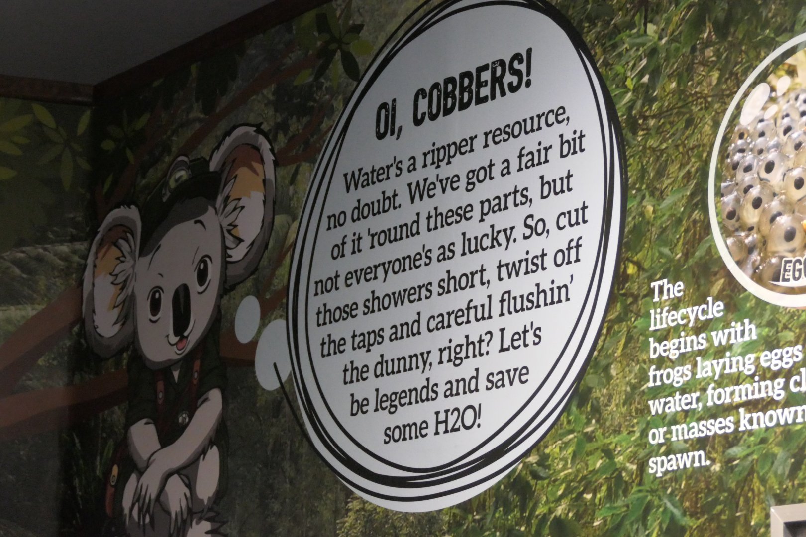 Signage - Cairns Koalas and Creatures