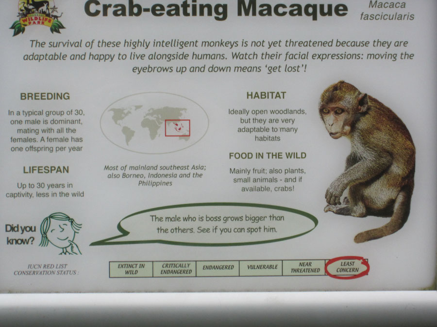 Signage - Crab-eating macaque