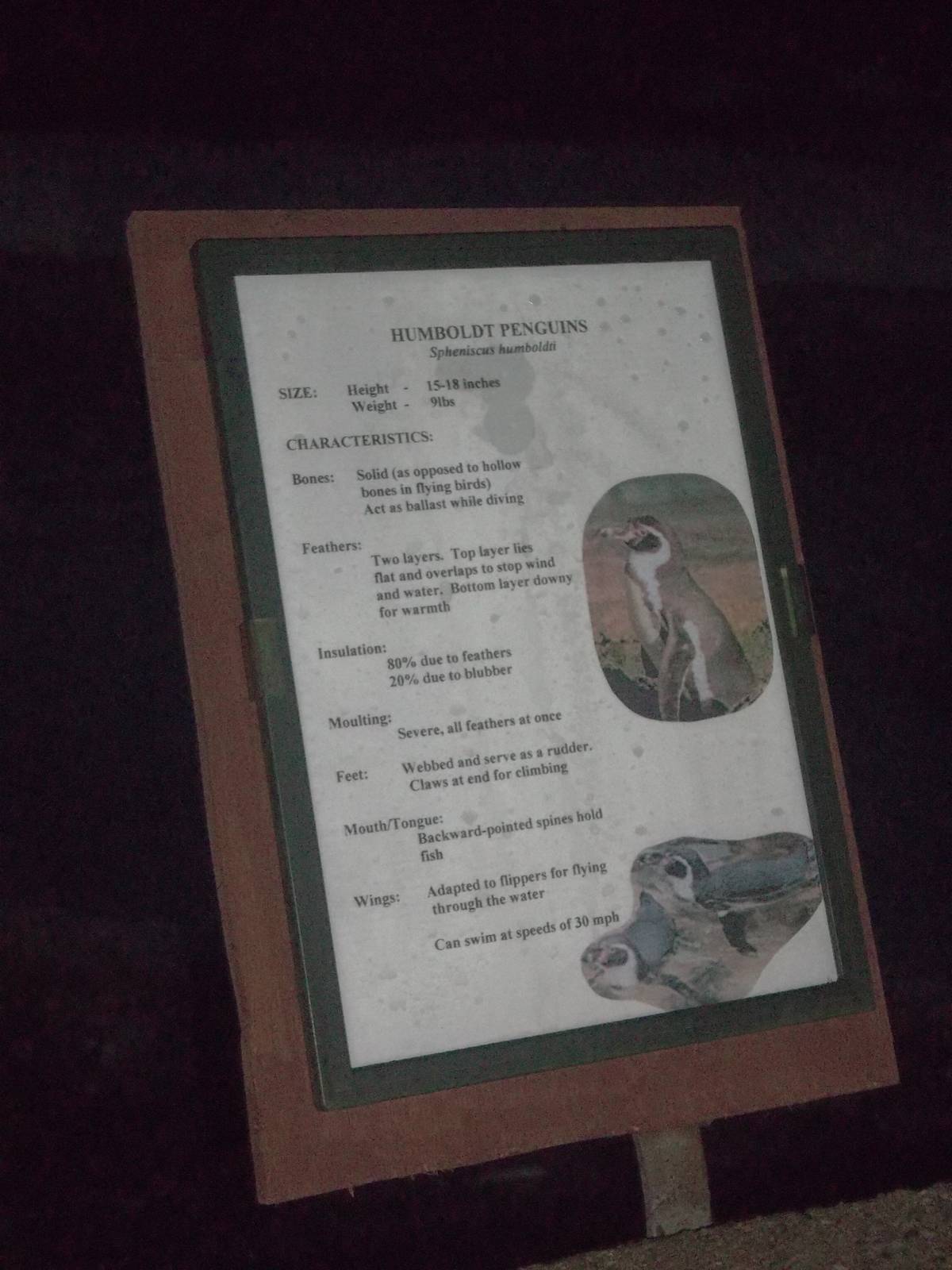 Signage damaged by Sheldon replaced, 13th December 2014