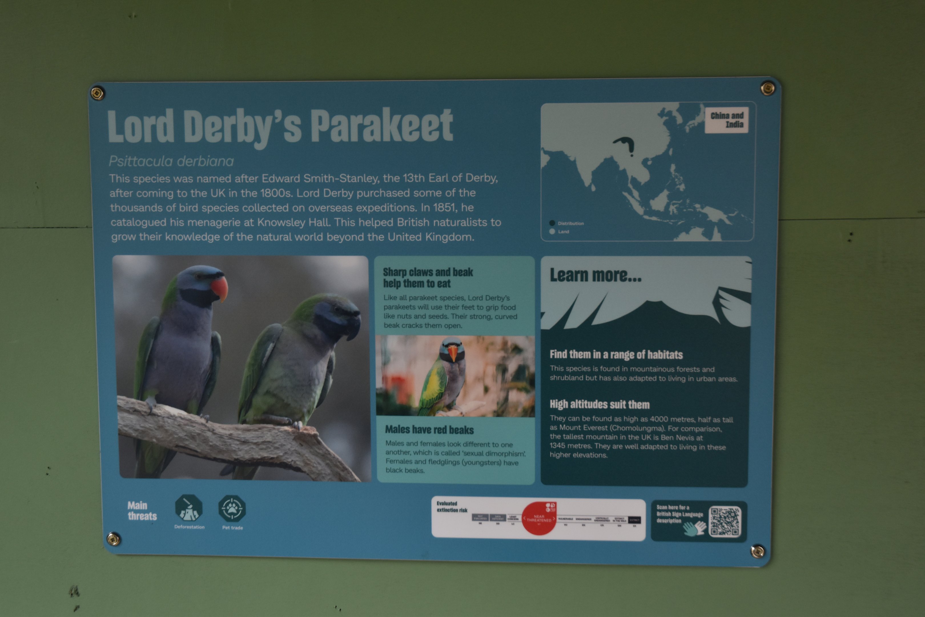 Signage (Derbyan Parakeet) at Chester, 18th April 2024