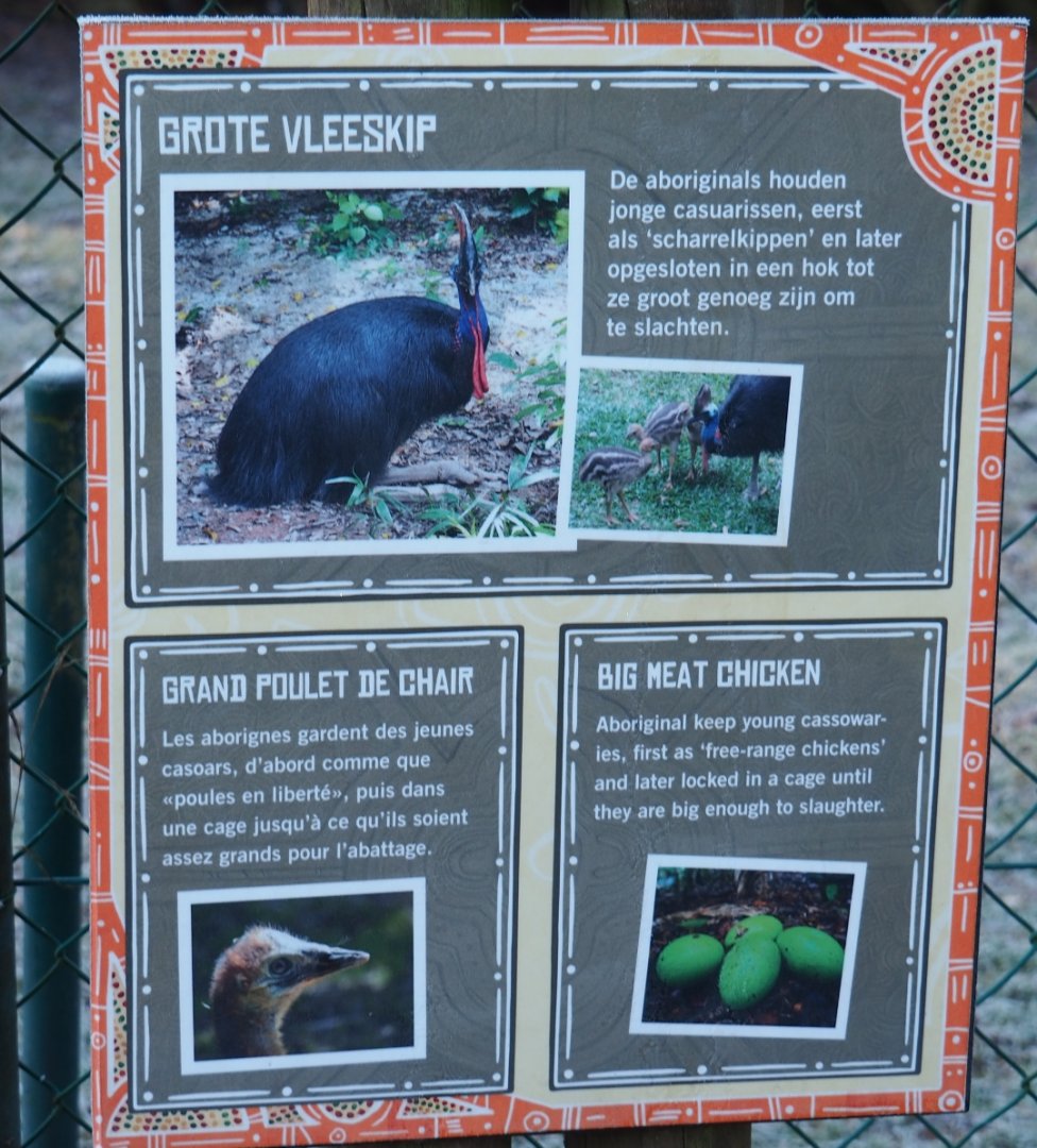 Signage Double-wattled cassowary (Jan 20th, 2019)