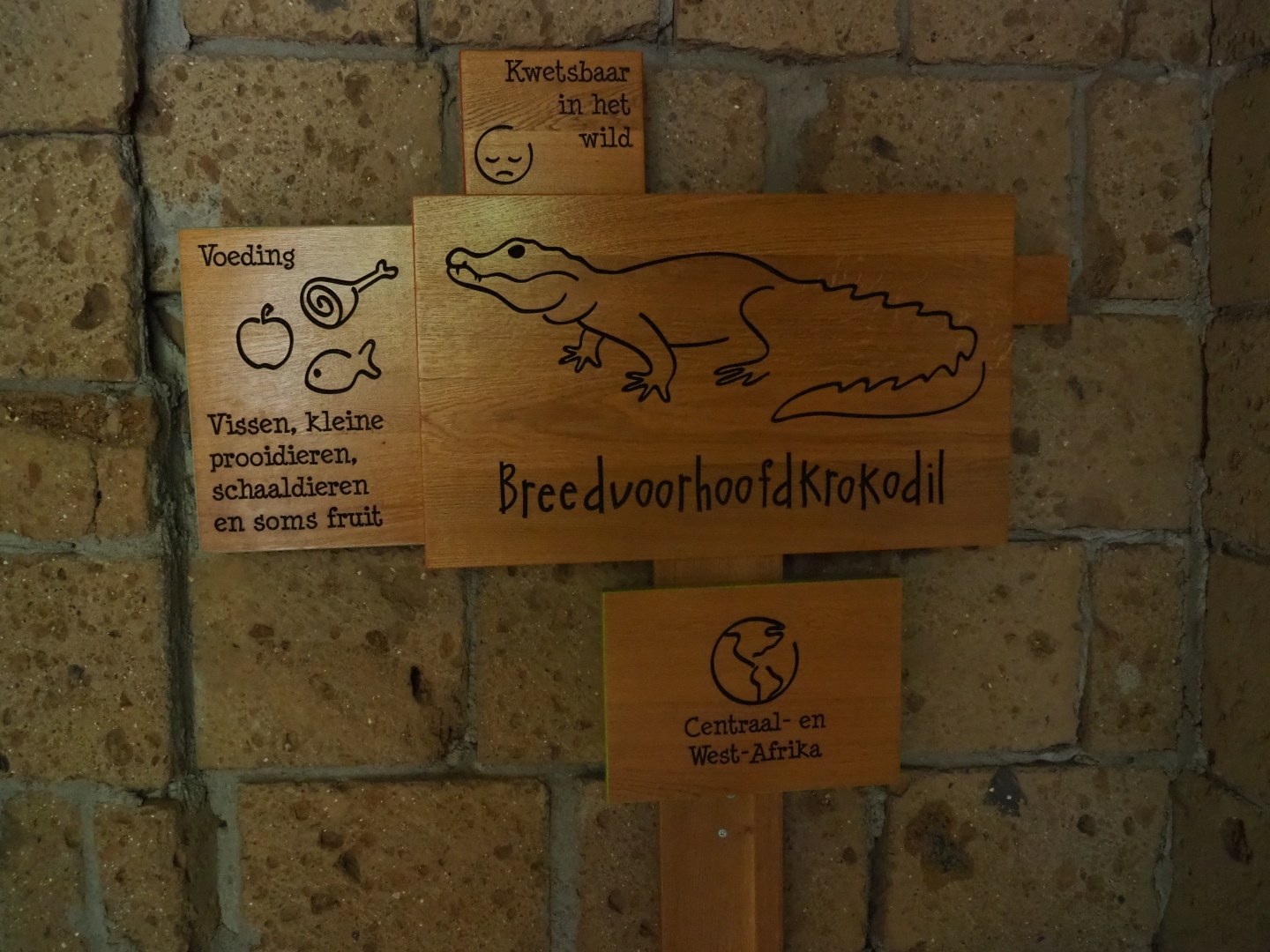 Signage dwarf crocodile