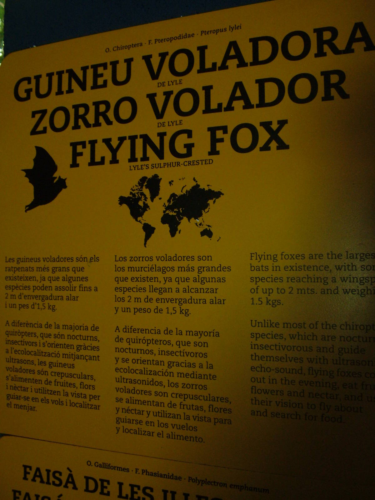 Signage Error at Barcelona, 30/05/11