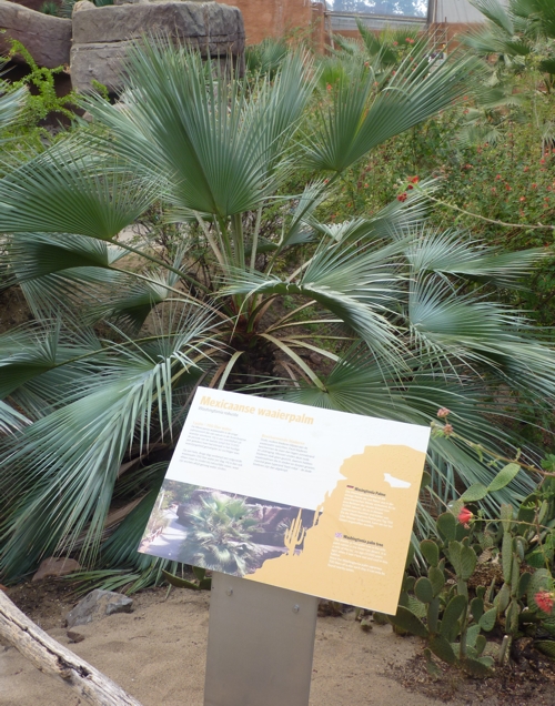 Signage error at Burger's Desert