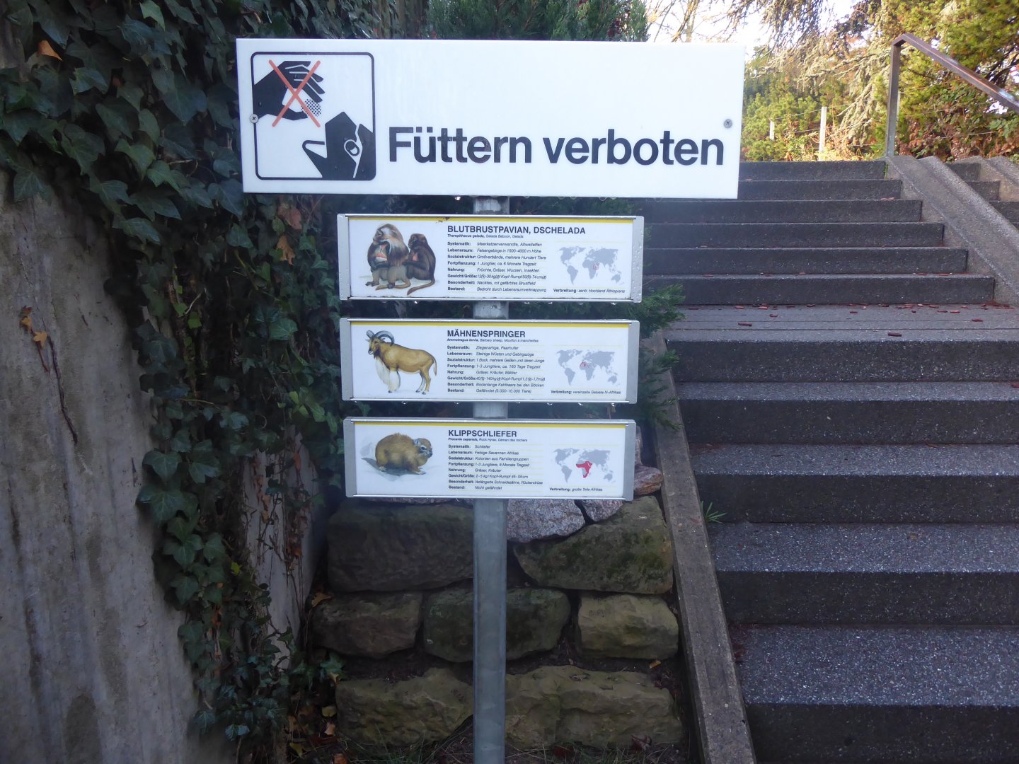 Signage example 011218