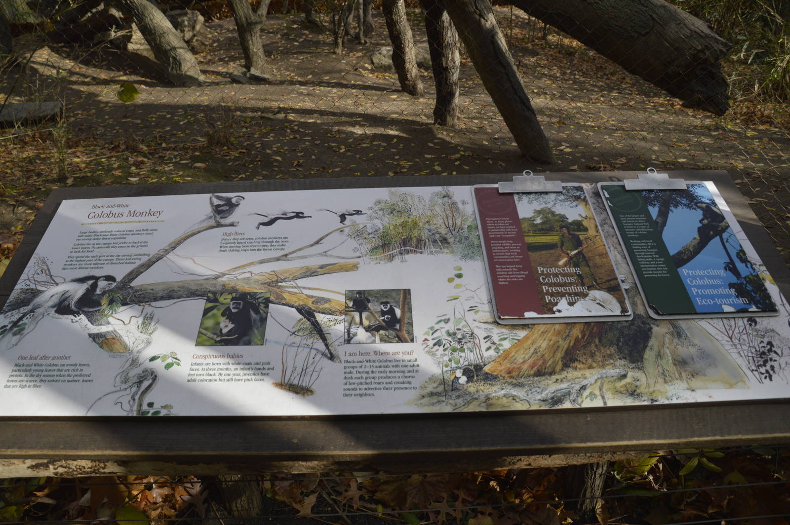 Signage example 031215