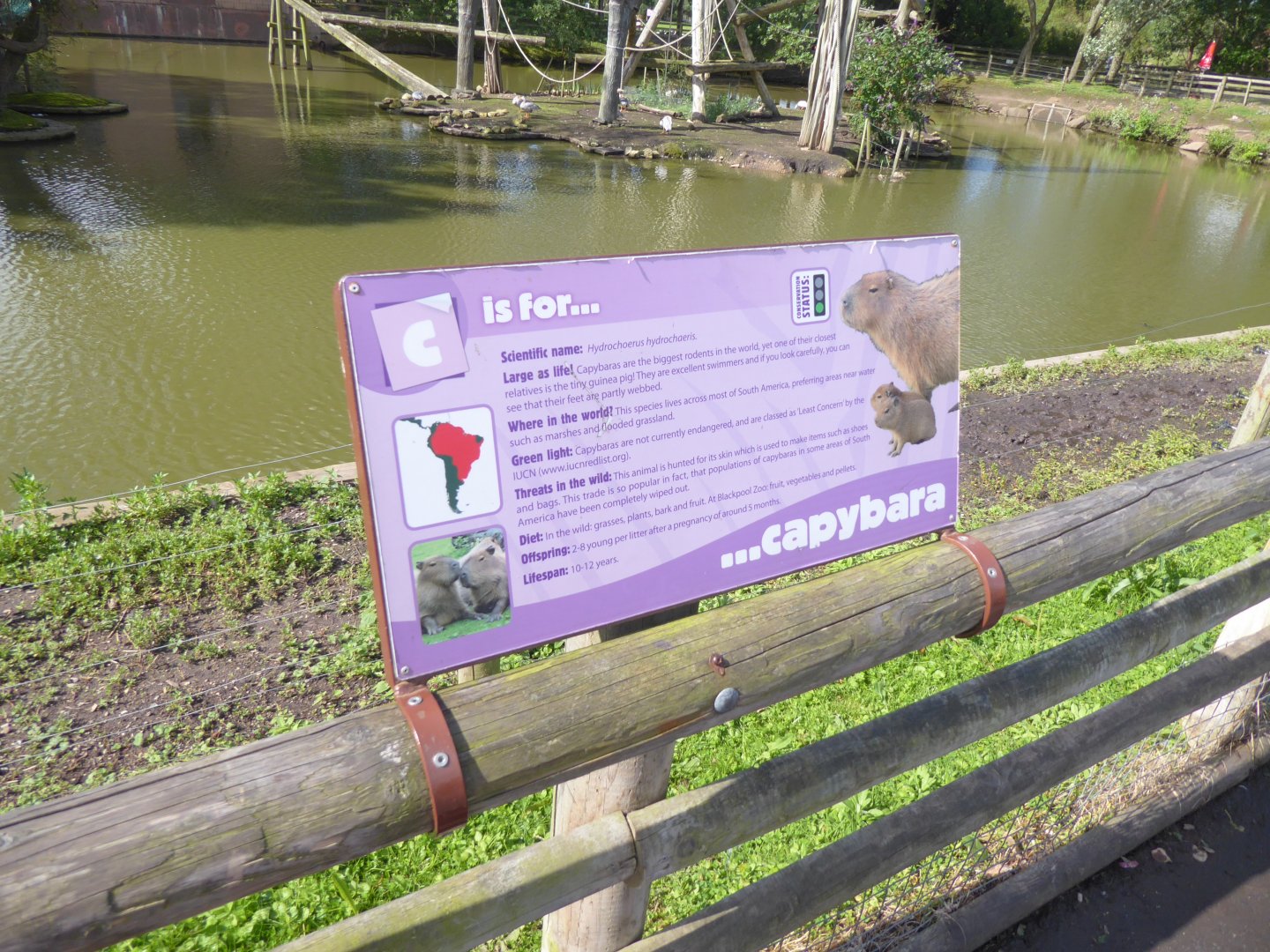 Signage example 040817