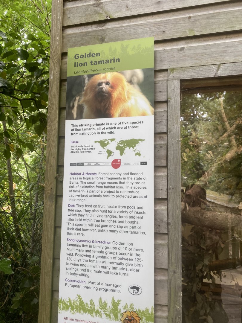 Signage example 050820