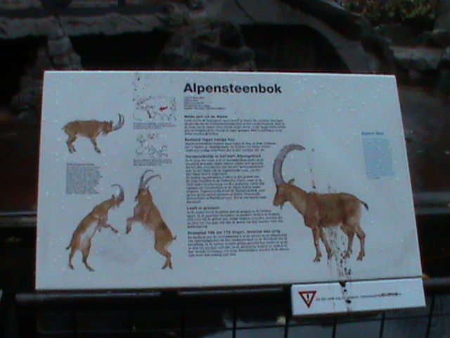 signage example 061110